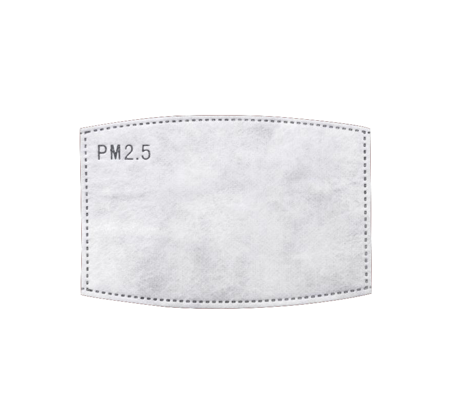 PM2.5 Insert for Face Masks - Kaitlyn Pan Shoes