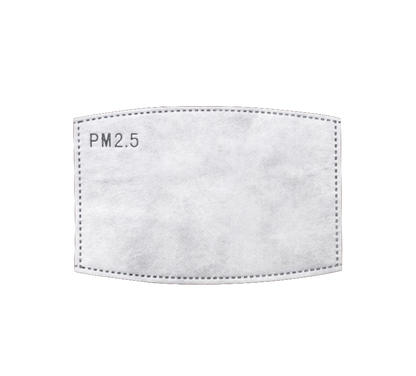 PM2.5 Insert for Face Masks - Kaitlyn Pan Shoes