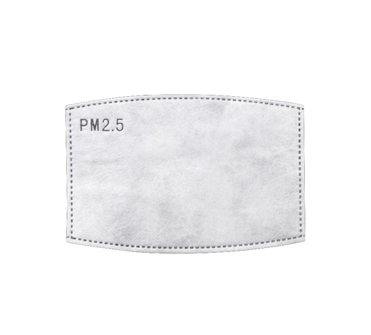 PM2.5 Insert for Face Masks - Kaitlyn Pan Shoes